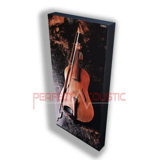 Paneles acusticos absorbentes – Puede solicitarse con una foto personalizada también